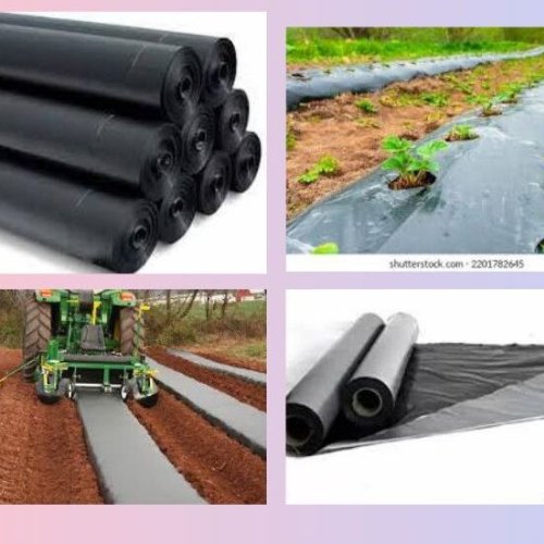 Agriculture Mulch Film