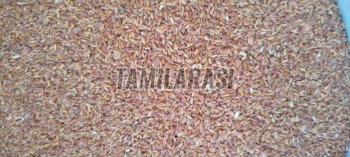 Rathasali Rice