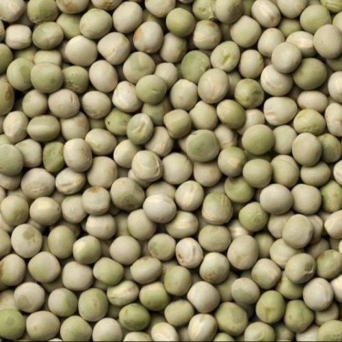 Green BL 11 Pea Seed