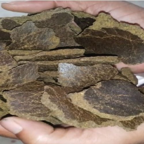 Natural Mustard Oil Cake