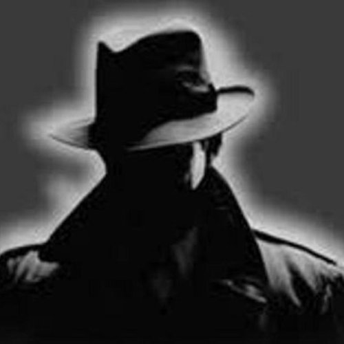 Private Detective Service