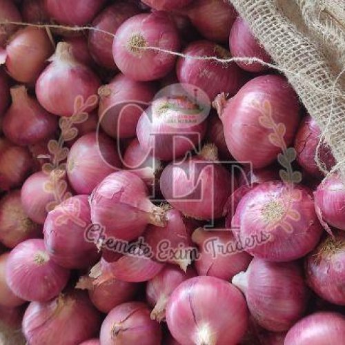 Organic Red Onion