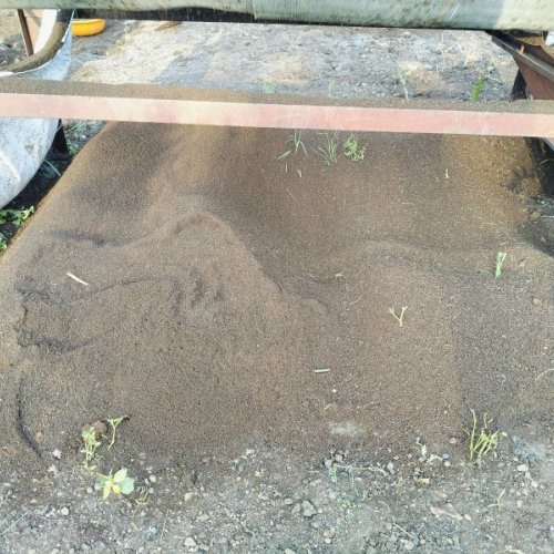 Organic Vermicompost Manure