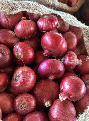 Fresh Red Onion