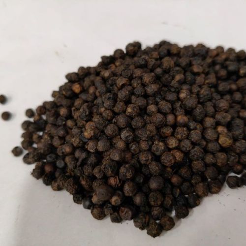 Organic Black Pepper Seeds