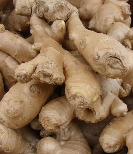 Fresh Ginger