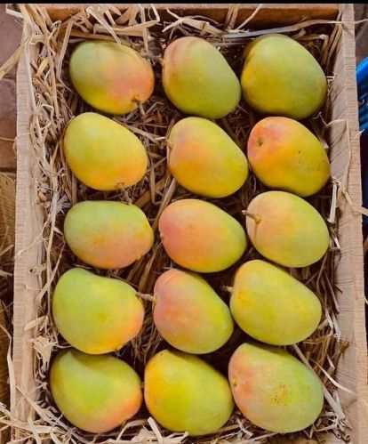 Fresh Mango