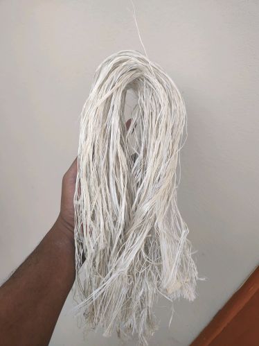 White Banana Fiber