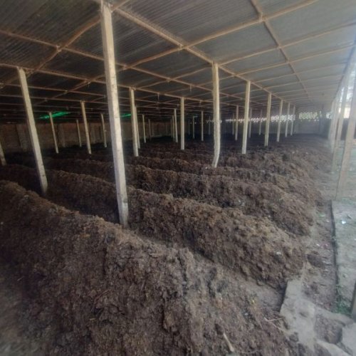 Organic Vermicompost