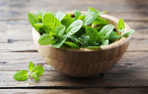 Natural Mint Leaves