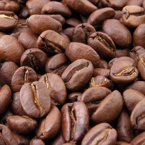 Arabica Coffee Beans