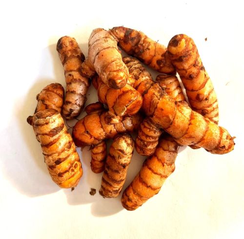 Turmeric Seeds