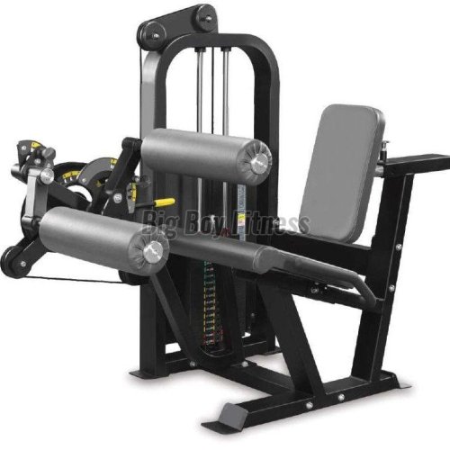 Seated Leg Curl & Leg Extension Combo