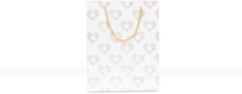 Designer Paper Gift Bag