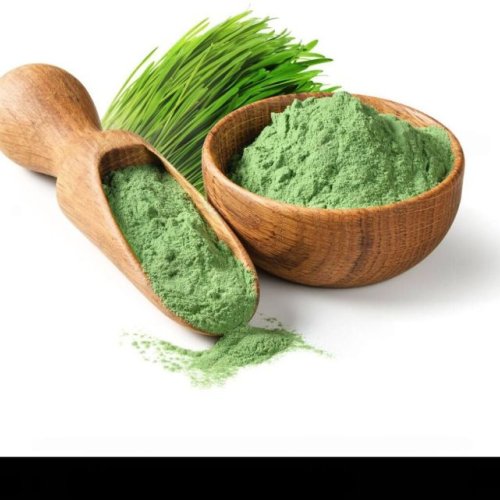 Barley Grass Powder