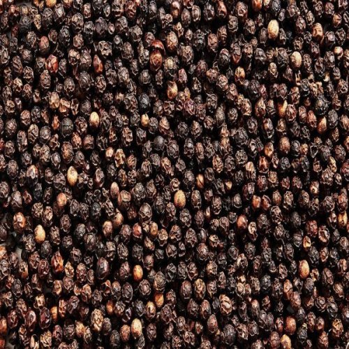 Black Pepper Seeds