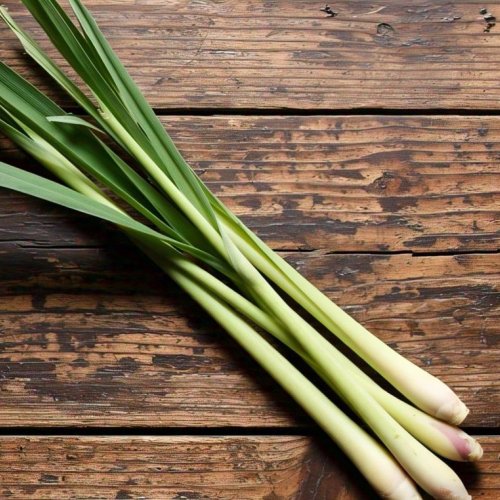 Fresh Lemongrass