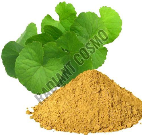 Brahmi Extract