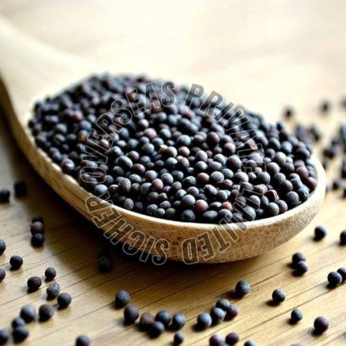 Black Mustard Seeds