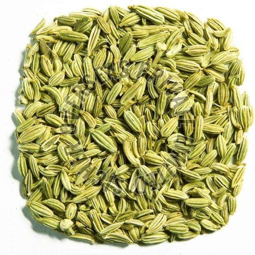 Fennel Seeds