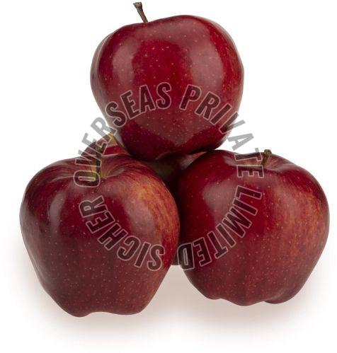 Fresh Apple