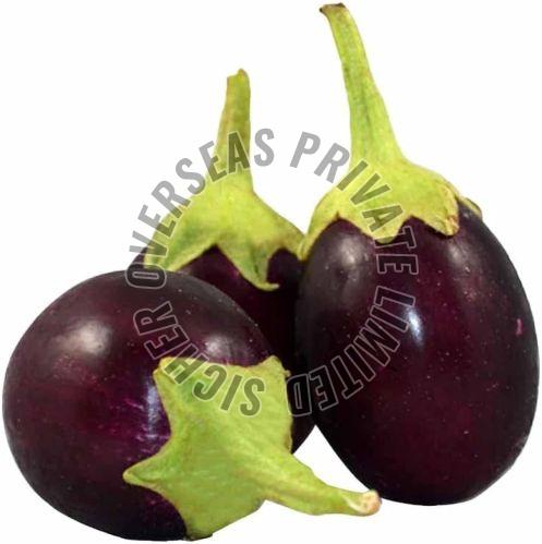 Fresh Brinjal
