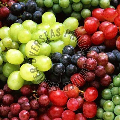 Fresh Grapes
