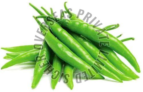 Fresh Green Chilli