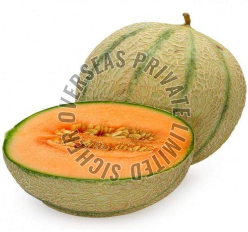 Fresh Muskmelon