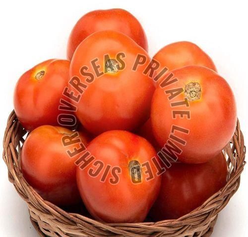 Fresh Tomato