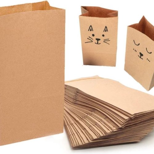 Brown Snacks Paper Bag
