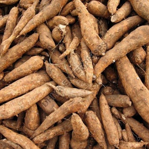 Fresh Cassava