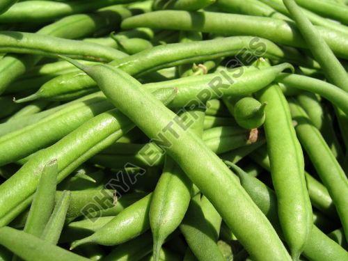 Fresh Green Beans