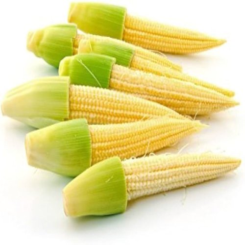 Baby Corn