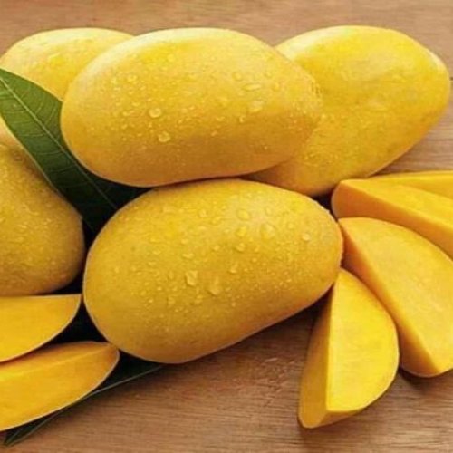 fresh alphonso mango
