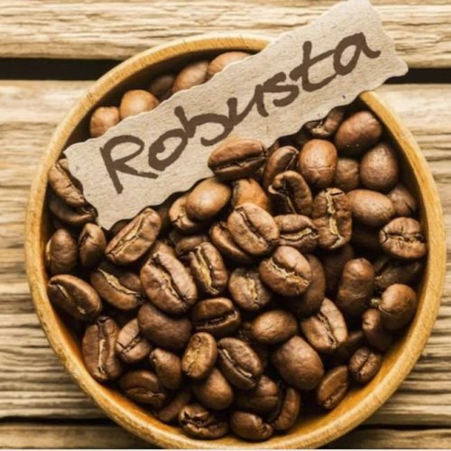 Robusta Coffee Beans