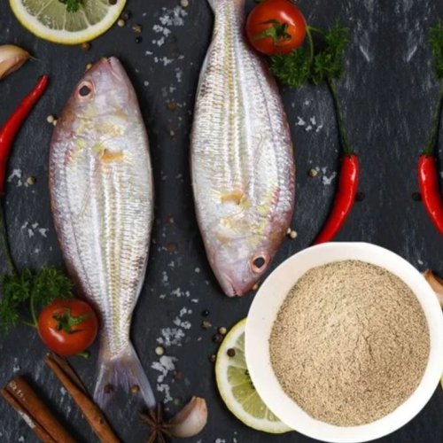 Fish Extract Powder