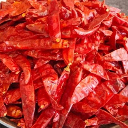 Guntur Stemless Dry Red Chilli