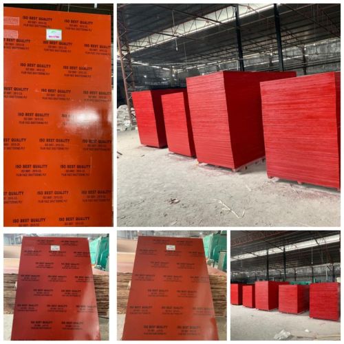 Shuttering Plywood Board