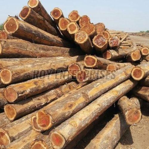 Teak Wood Logs