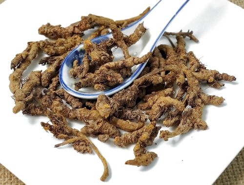 Traditional Chinese Medicine Coptisroot(Huanglian)