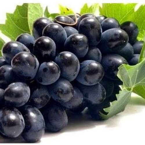 Farm Fresh Black Grapes
