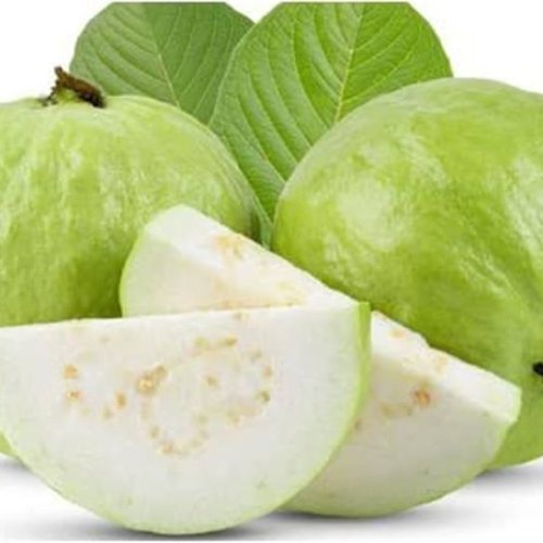 Farm Fresh Guavas