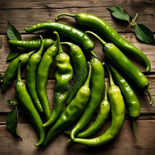 Fresh Green Chilli