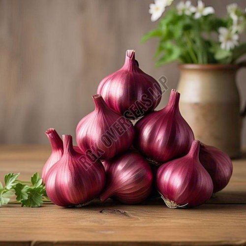 Fresh Red Onion