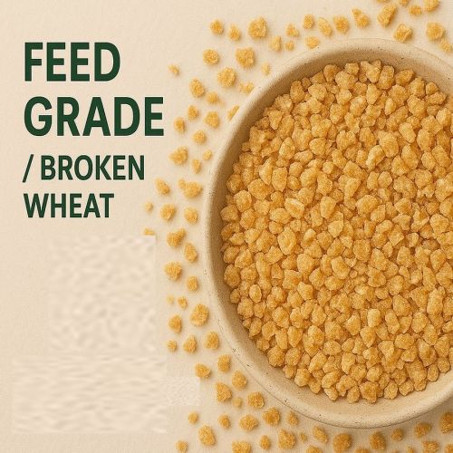 Broken Wheat