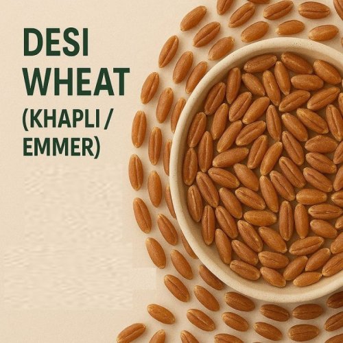 Desi Wheat