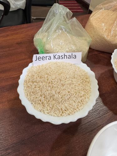 Jeerakasala Rice