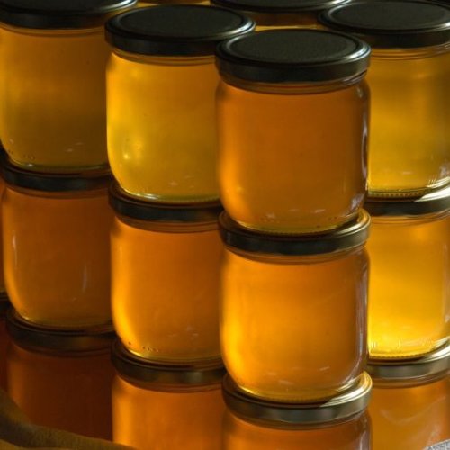 Organic Forest Honey