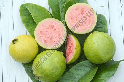 Fresh Guava